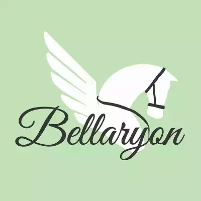logo Bellaryon