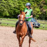 photos profil membre