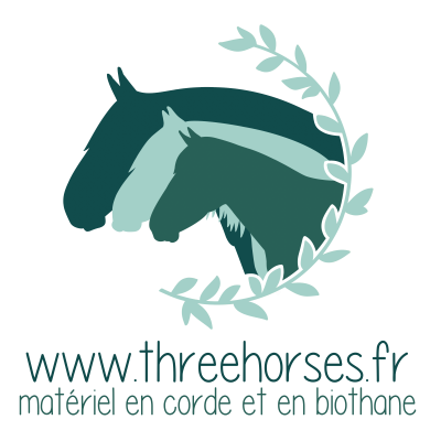 logo THREE HORSES