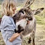 photos profil membre