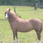 photos profil membre