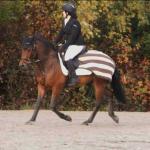 photos profil membre